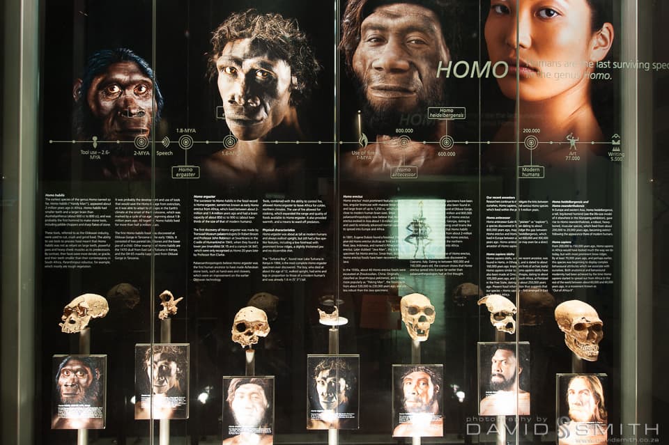 Cradle of Humankind - Image 2