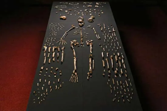Cradle of Humankind - Image 7