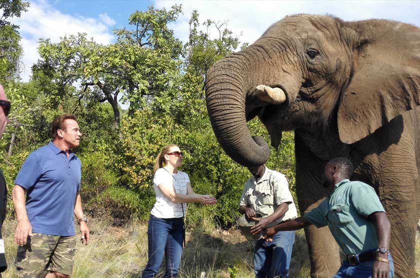 Elephant Sanctuary - Main tour experience