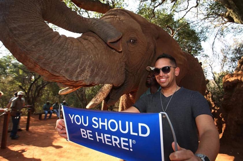 Elephant Sanctuary - Gallery image 4