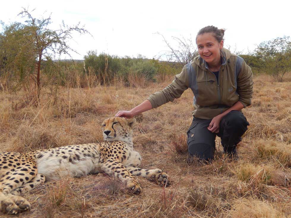 Lion and Cheetah Sanctuary - Main tour experience
