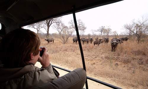 Kruger National Park & Panorama Route Experience - Gallery image 3
