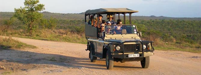 Pilanesberg Game Park Wildlife Experience - Gallery image 3