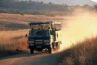 Pilanesberg Game Park Wildlife Experience - Gallery image 4